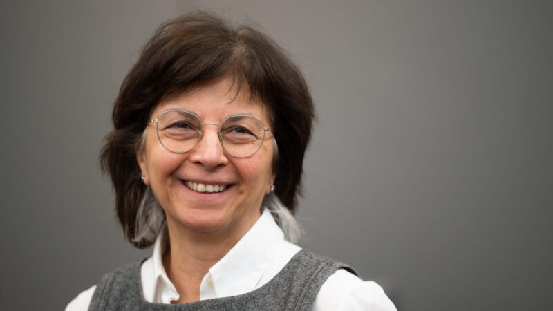 Simin Najdem Therani